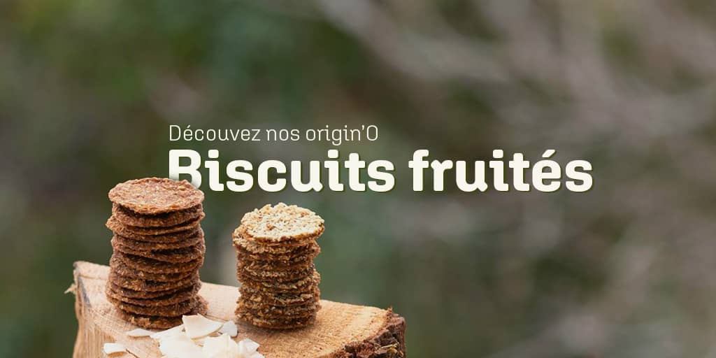 biscuit sain anti gaspi - ipsago